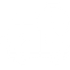FAST DELIVERY