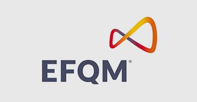 EFQM PERFECTION MODEL